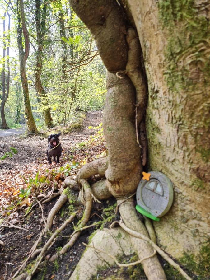 Old Road Cottage Pet Friendly Outdoors Beaches Neath Esterno foto