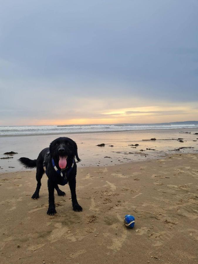 Old Road Cottage Pet Friendly Outdoors Beaches Neath Esterno foto